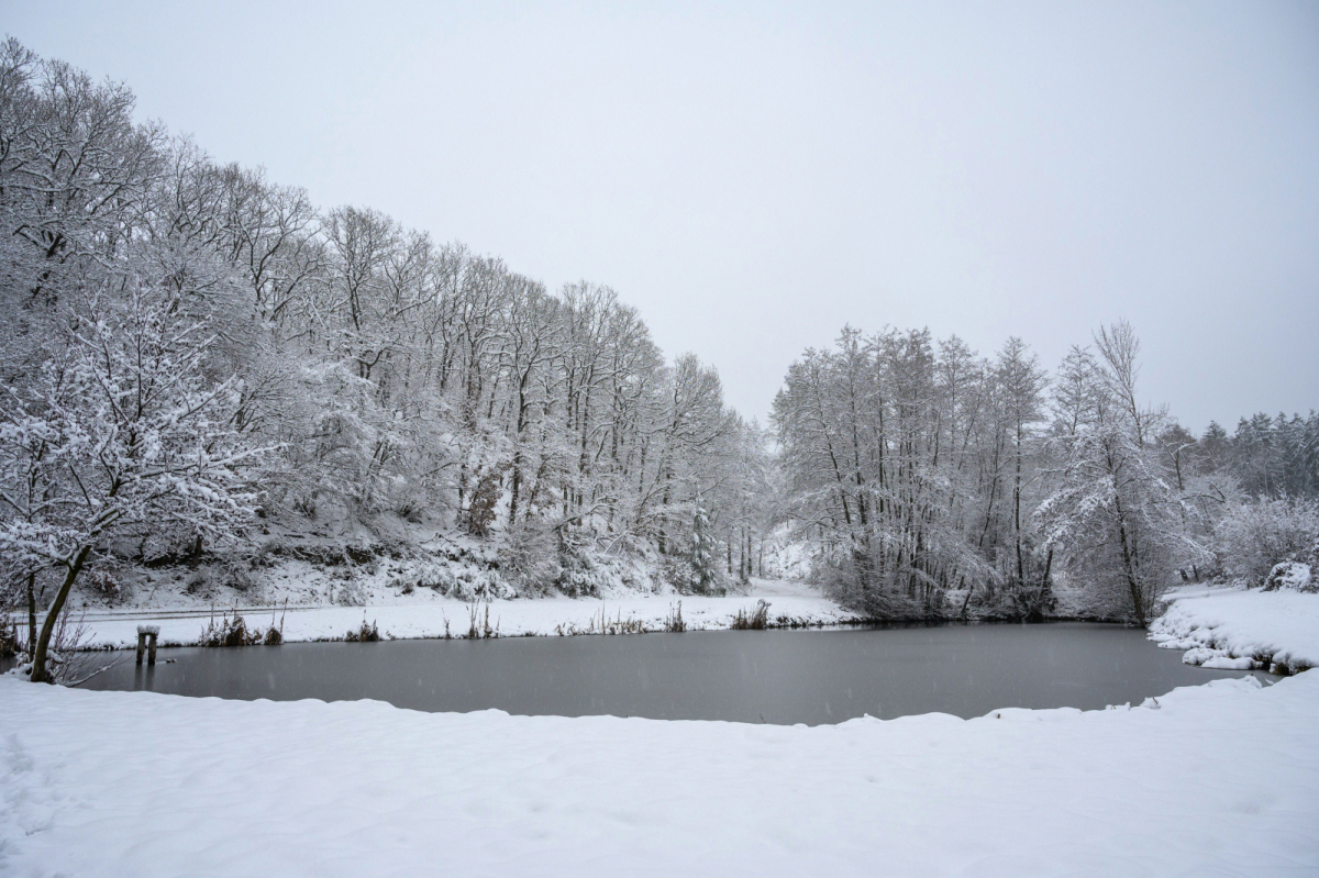 Winterwonder-0425_01_01.JPG