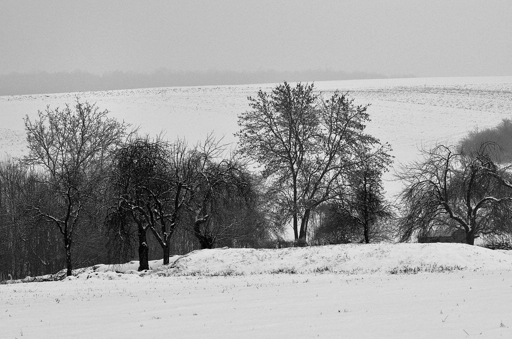 Wintgerlandschaft I