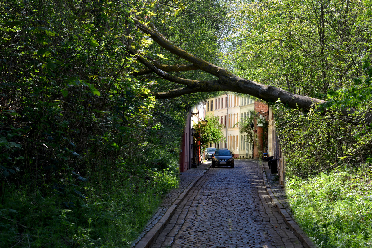 wismar_kirchdorf.jpg