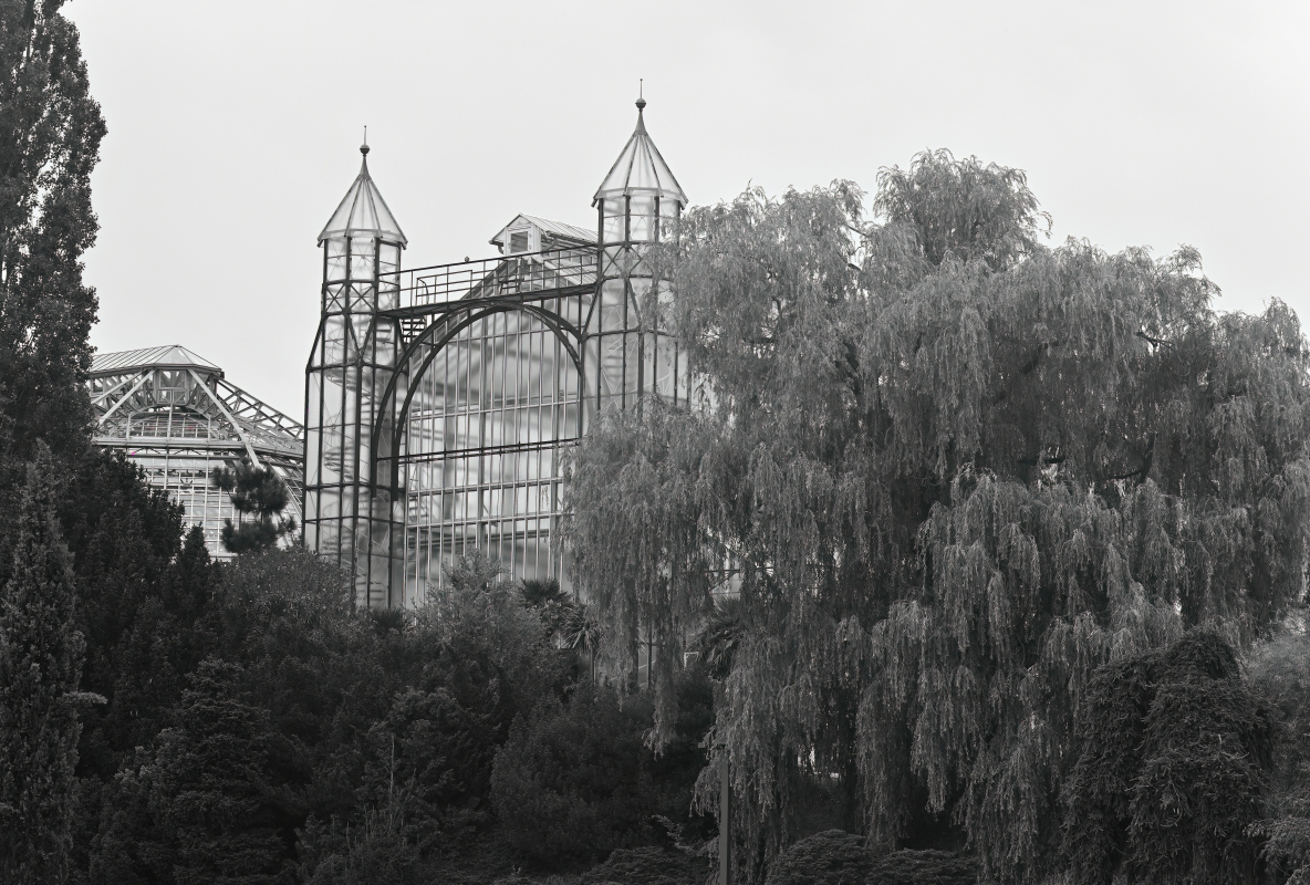 WK1_9195-D_NF.JPG