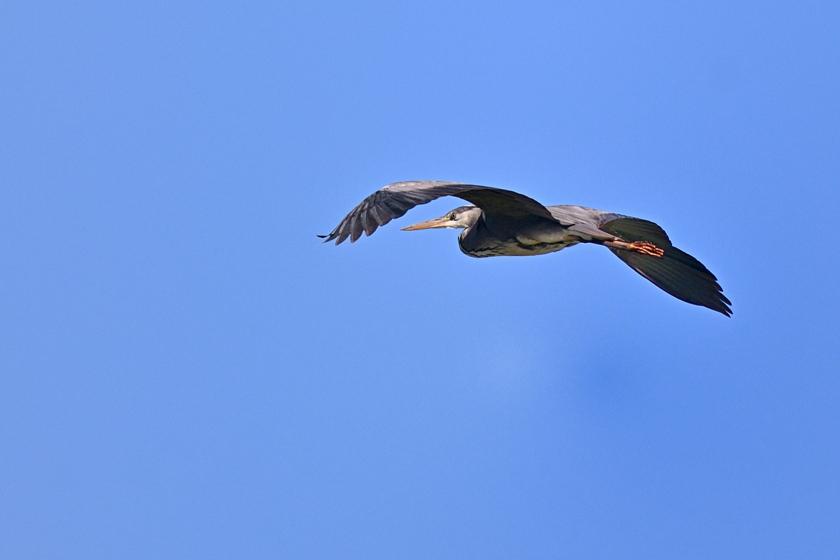 WK_DSC_5400_Forum.jpg