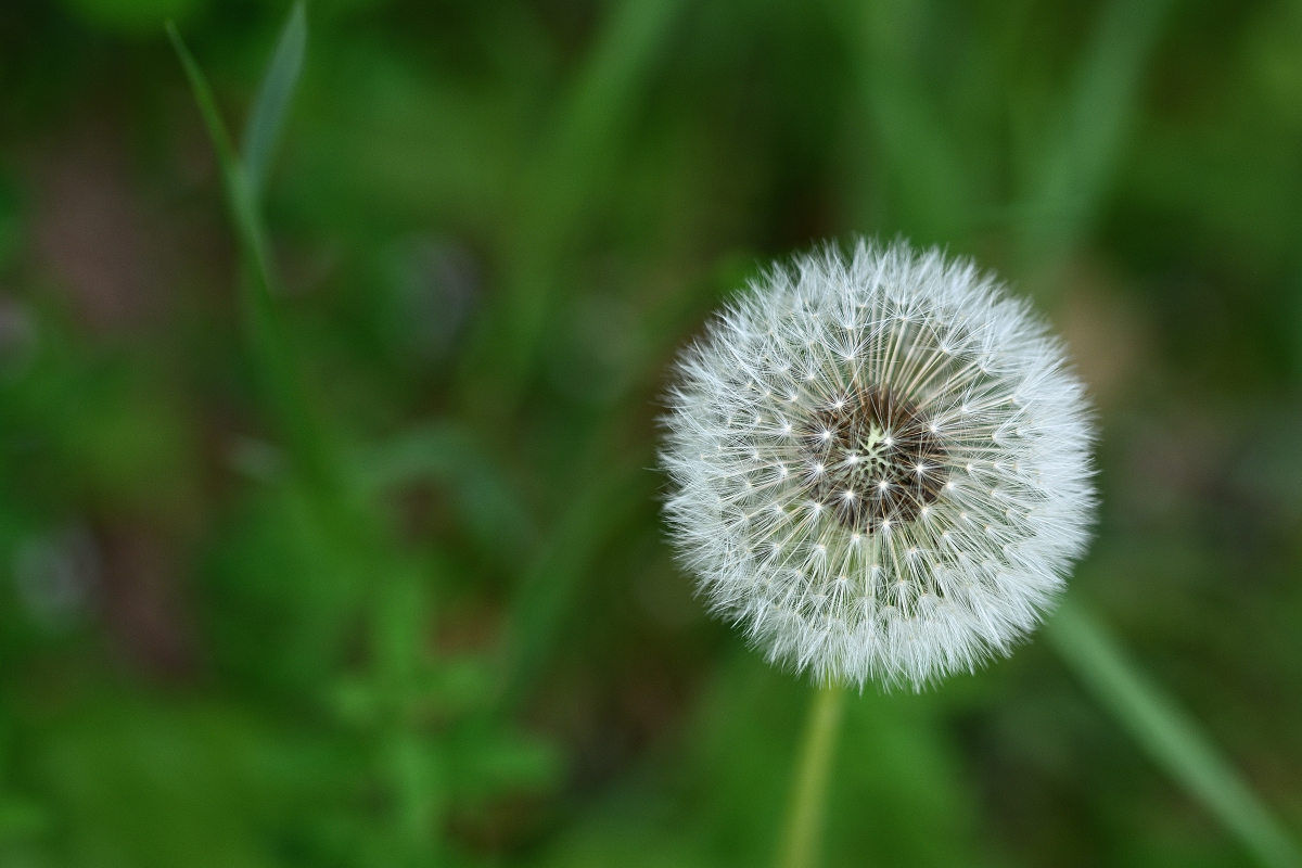 WK_DSC_5761_Forum.jpg