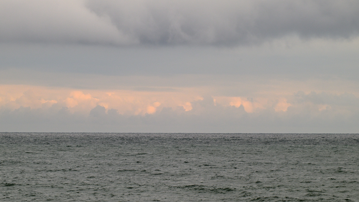 WKZ_2132_NF.JPG