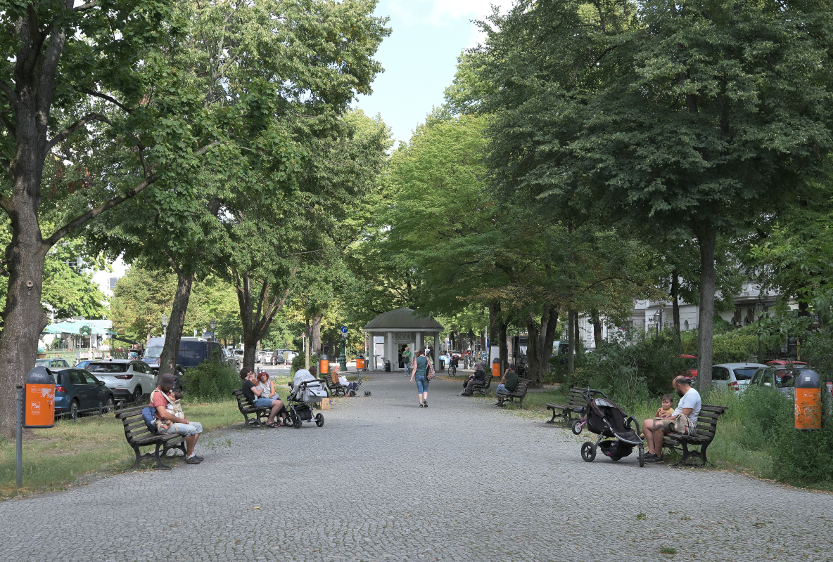 WKZ_6679_NF_dim 92.JPG