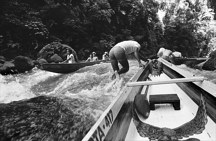 wo 299 5 2