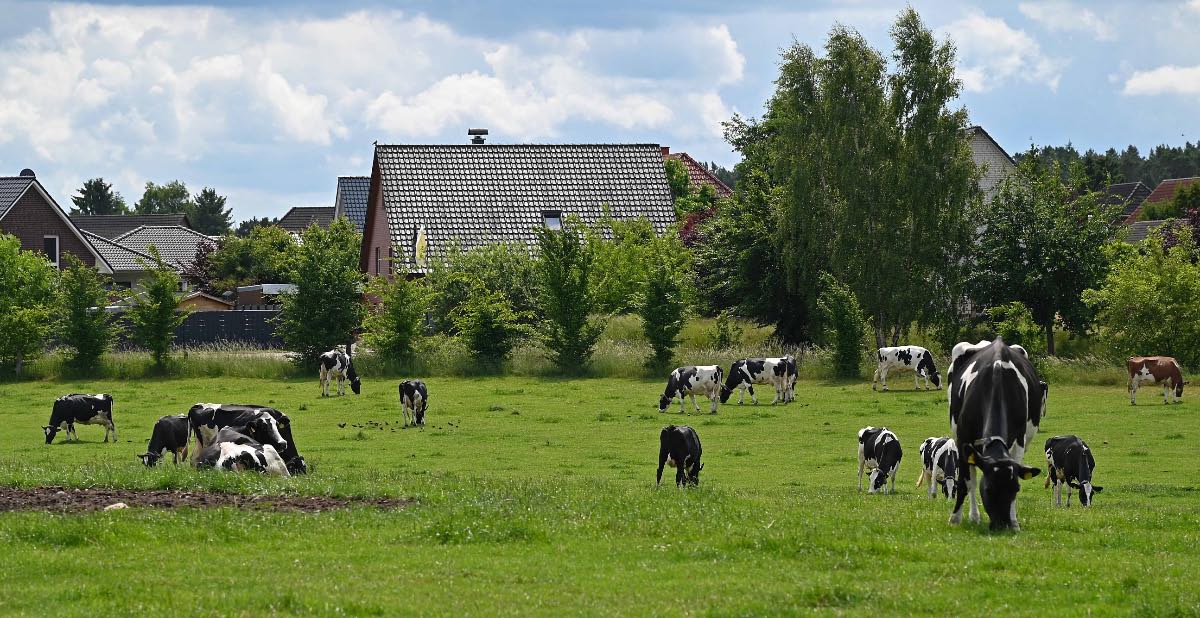 Wohnen auf dem Lande.jpg