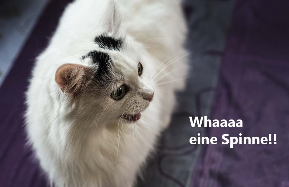 WOI 0250