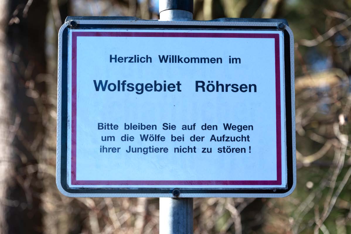 Wolfsschild.jpg