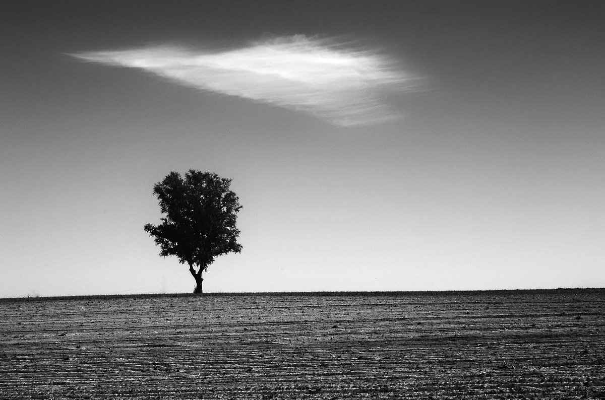 Wolke