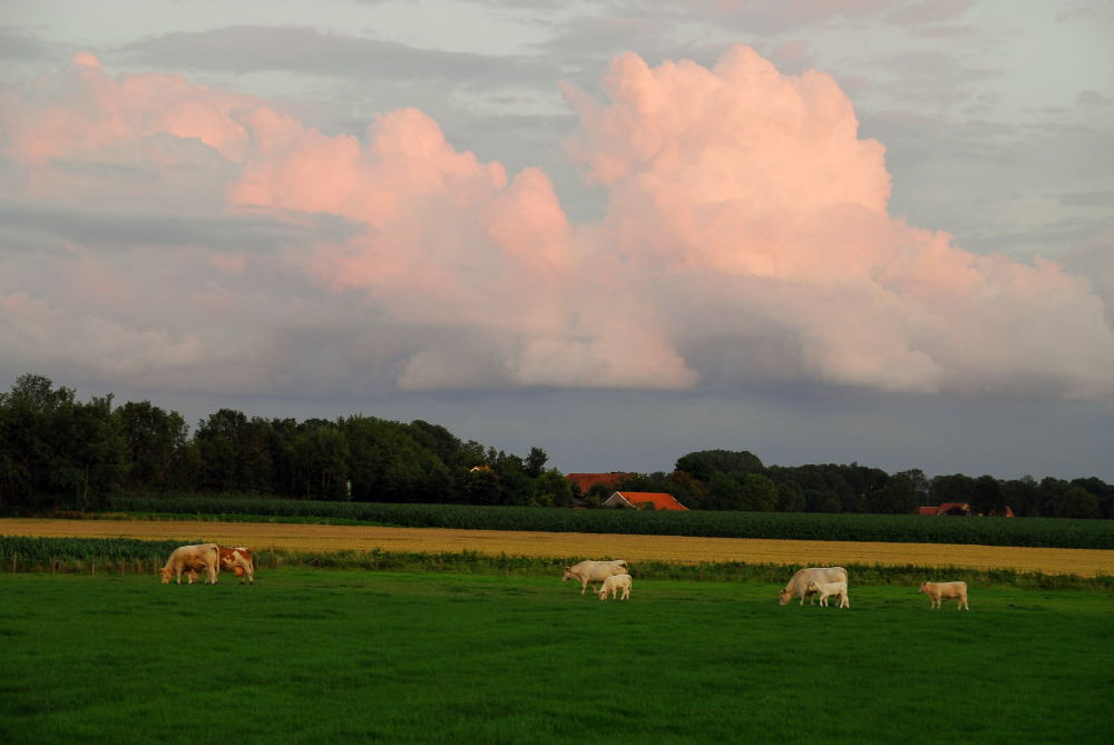 Wolken über Oeding