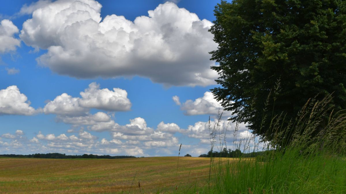 Wolken 1