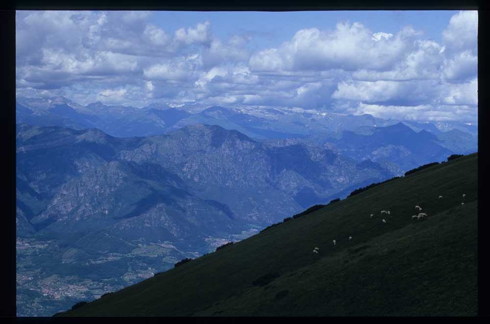 wolken und schafe