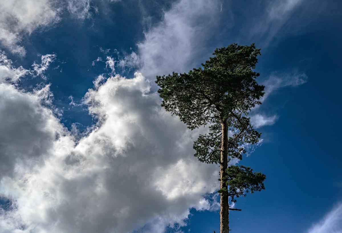 Wolken_Z7A_8763_12.jpg