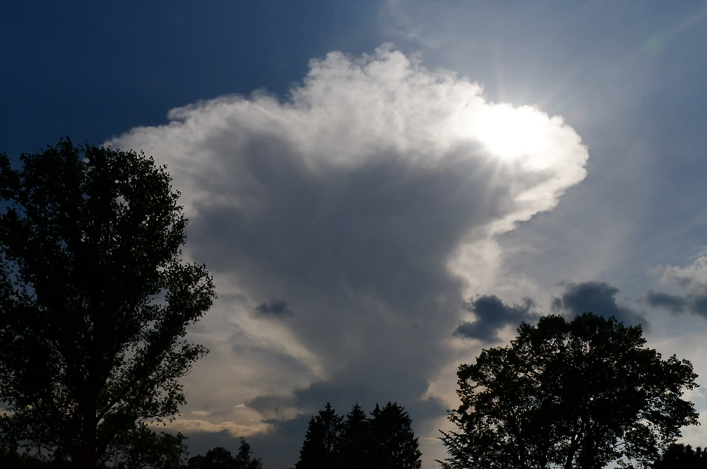 Wolkenpilz.jpg