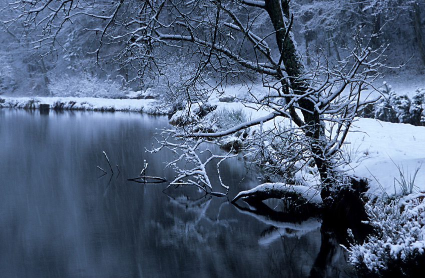 Woog Provia 100F