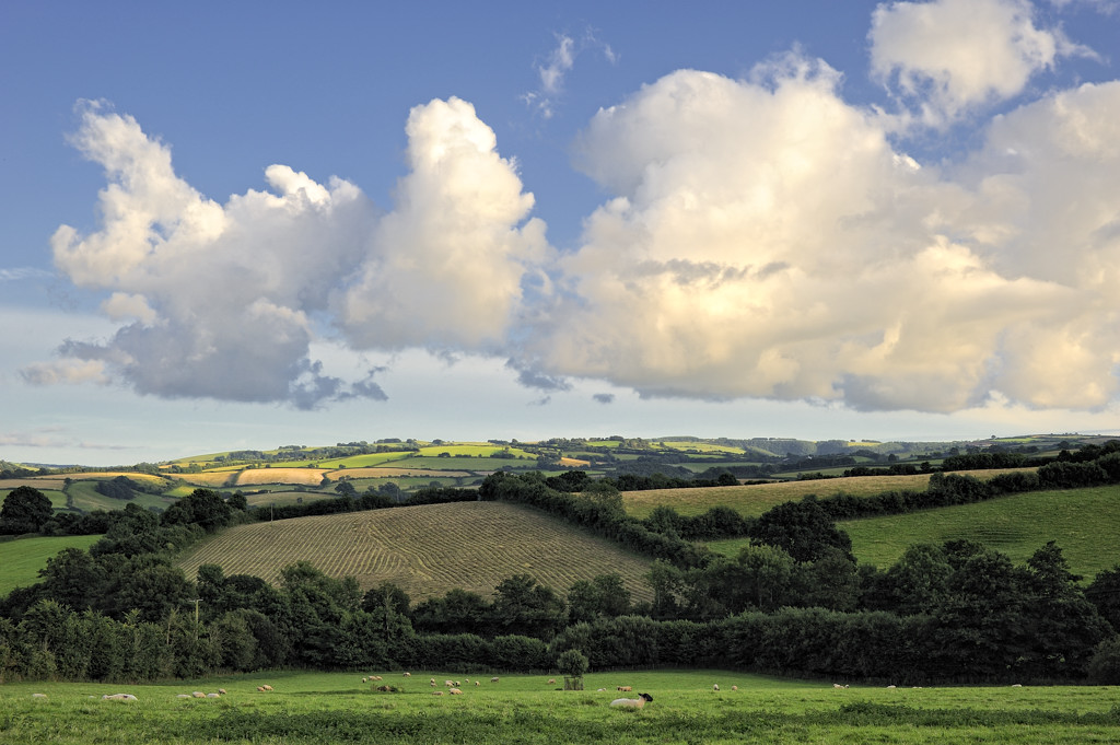Wootton Courtenay (Somerset)