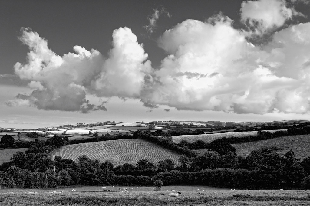 Wootton Courtenay (Somerset)