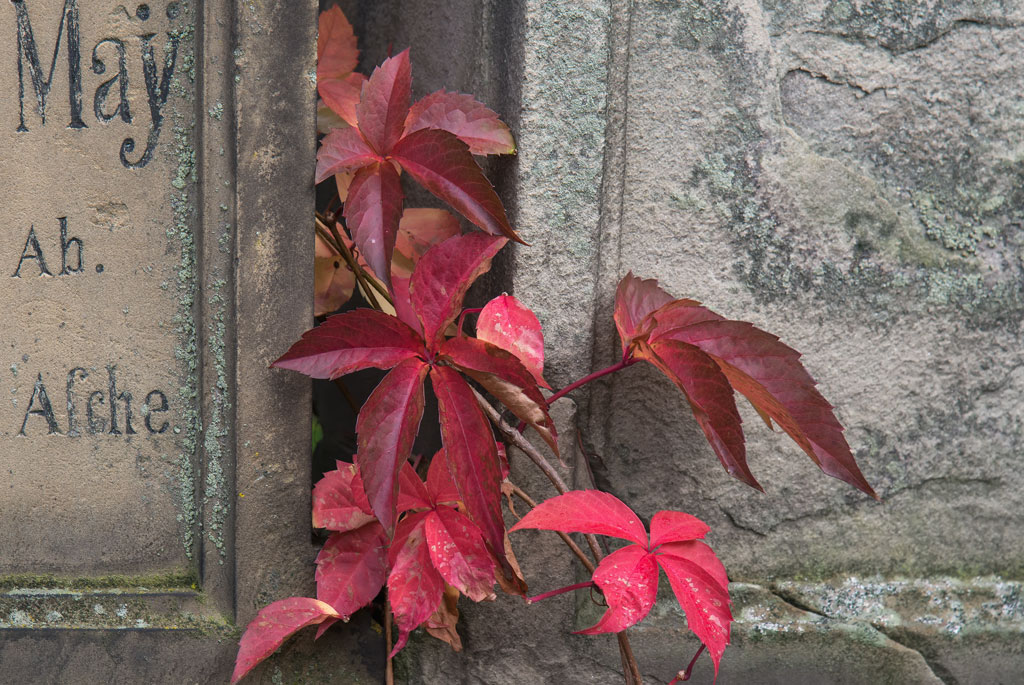 worms friedhof