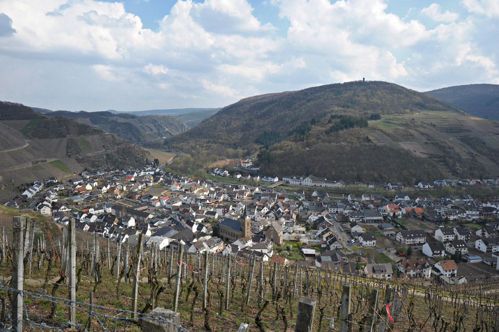 wowarich10