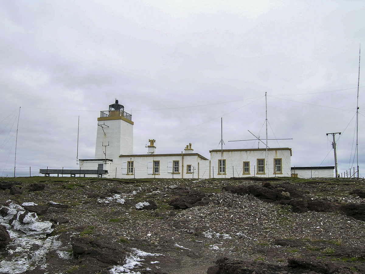 wowarich20250101-4.jpg
