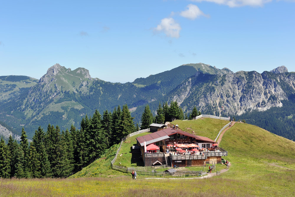 wowarich7