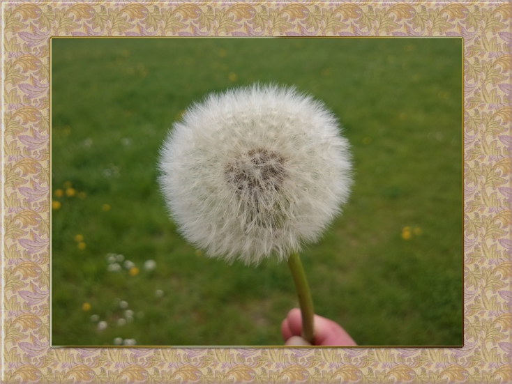 WP 20140420 15 30 42 Pro (2)