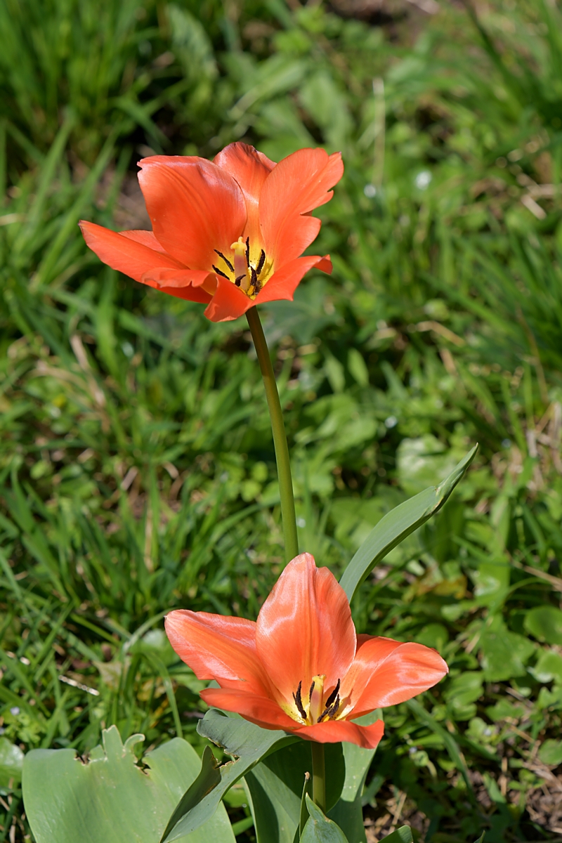 WRU_6848.JPG
