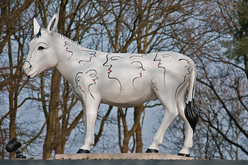 WSE 25
