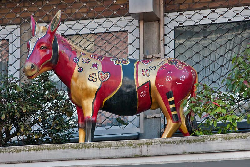 WSE 38