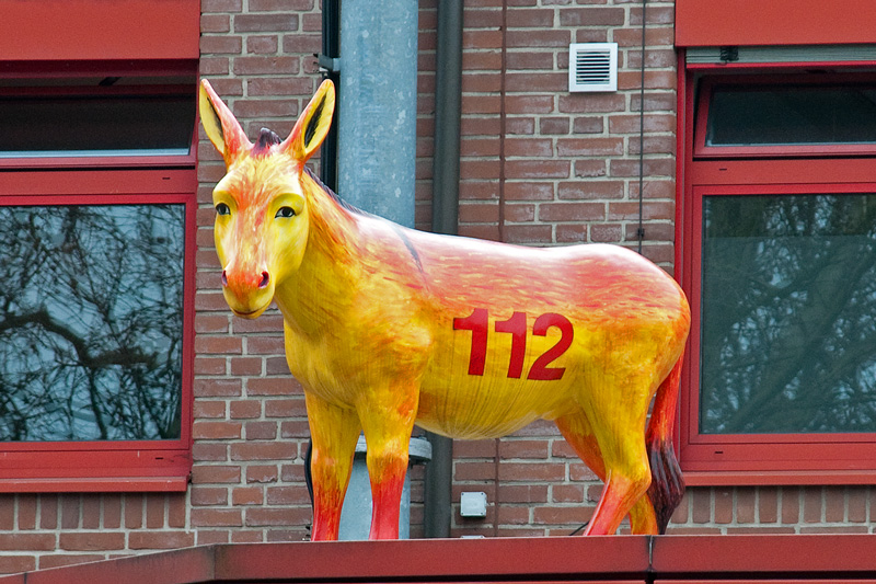 WSE 56