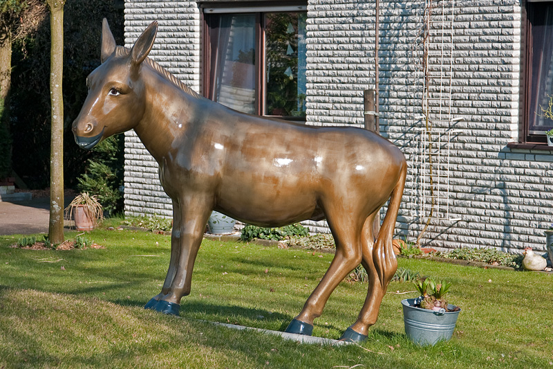 WSE 57