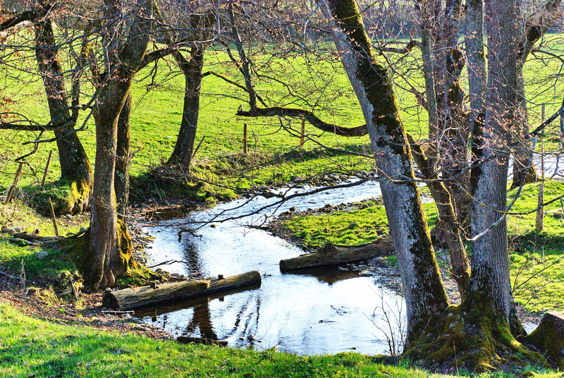 wuermtal flussbiegung