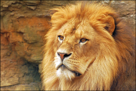 Wuppertaler Zoo 22.8.10 011