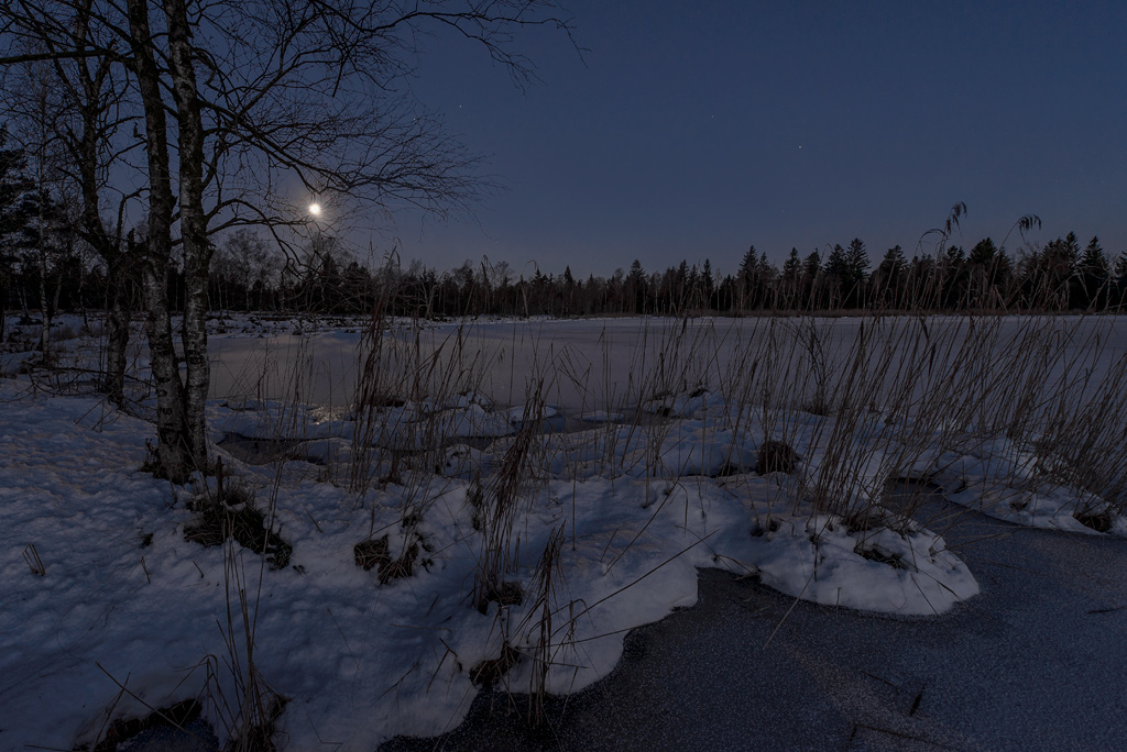 Wurzacher Ried 20150106 071334
