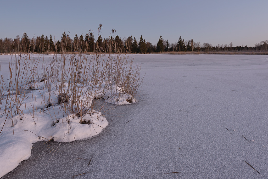 Wurzacher Ried 20150106 073348