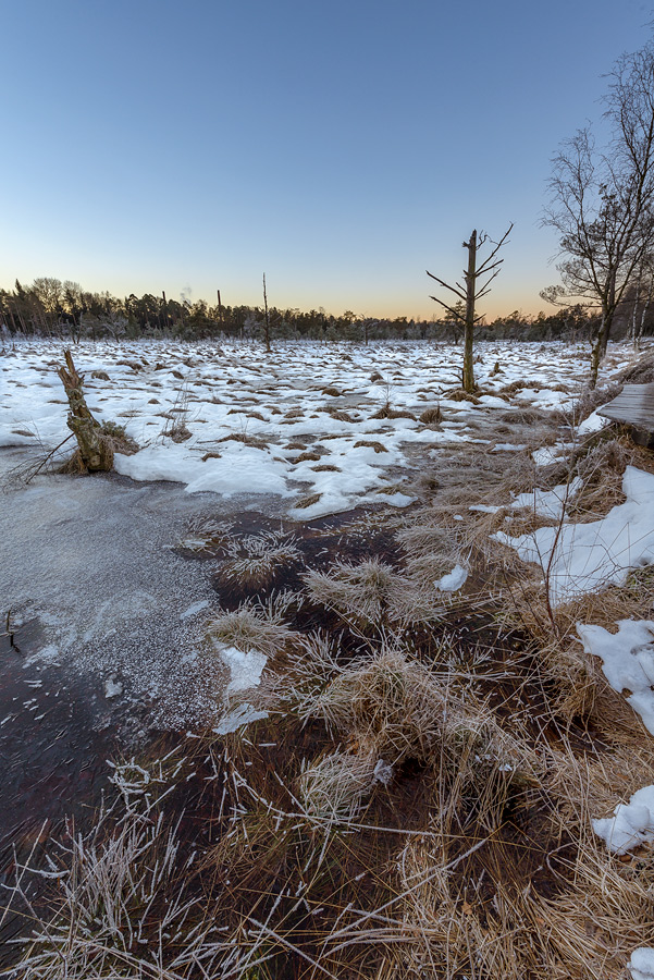 Wurzacher Ried 20150106 081300