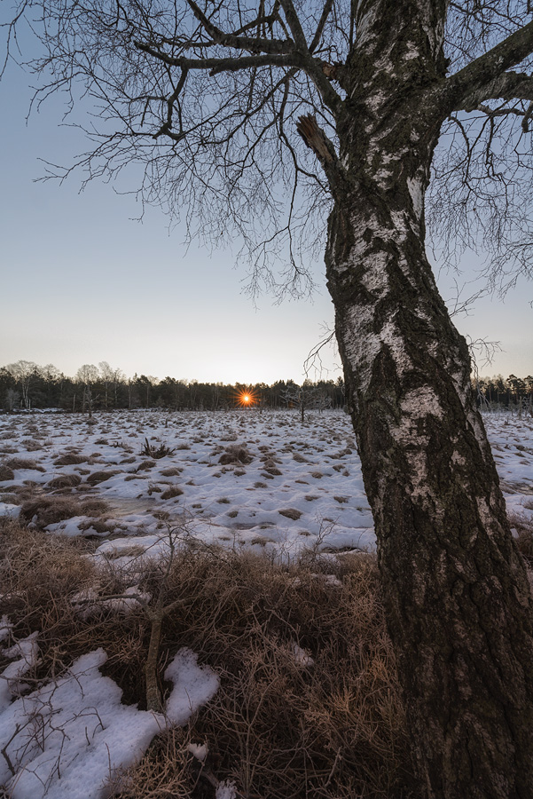 Wurzacher Ried 20150106 082129