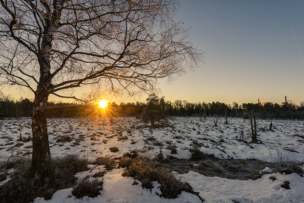 Wurzacher Ried 20150106 084017