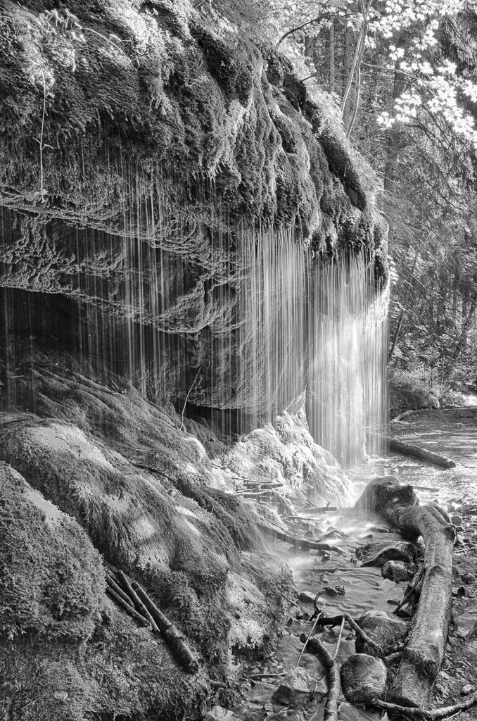 Wutach 3