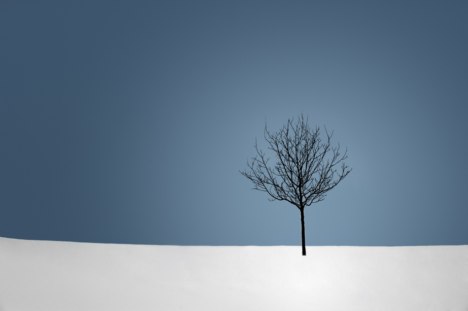 WWL winter I