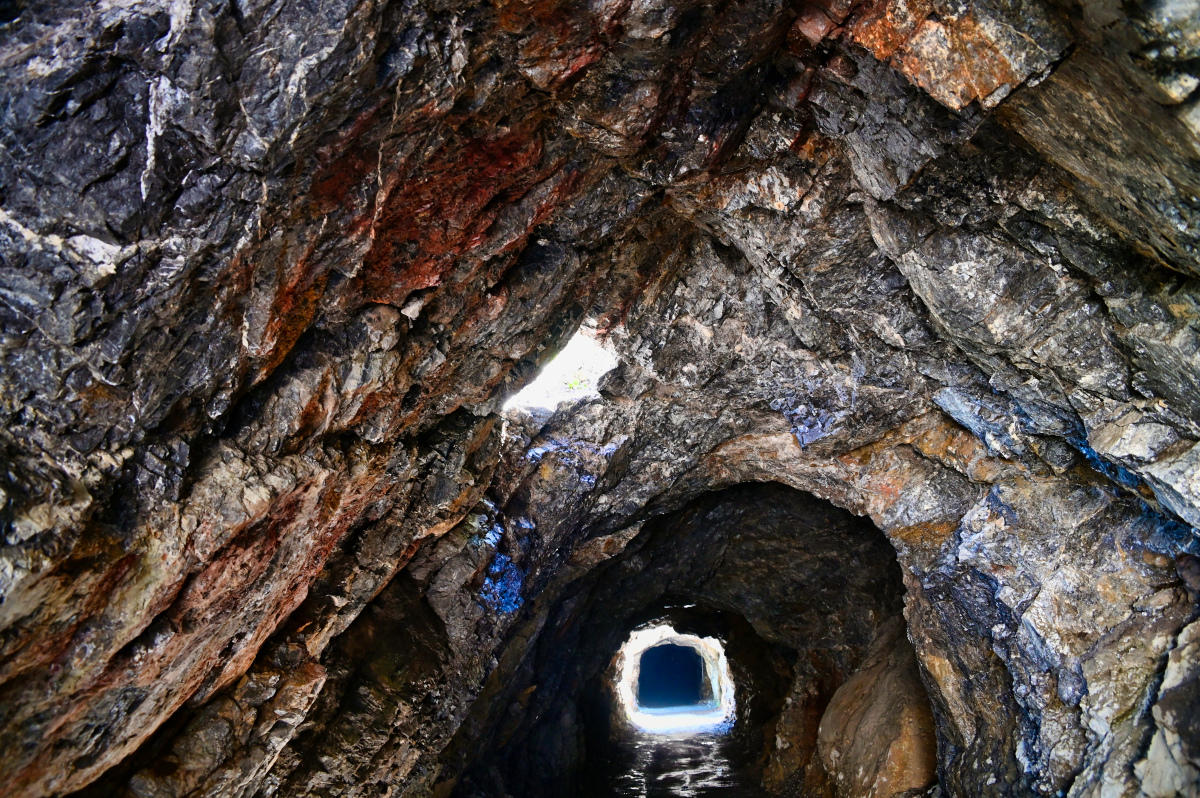 WZ6_2330.jpg