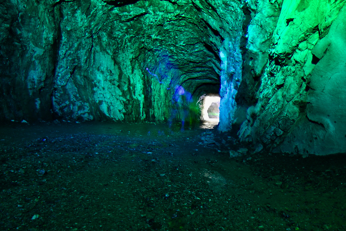 WZ6_2381.jpg