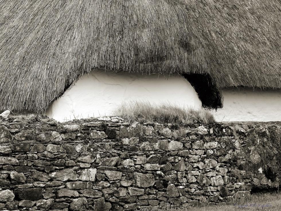 X 0017 Irland 2011 reed cottach