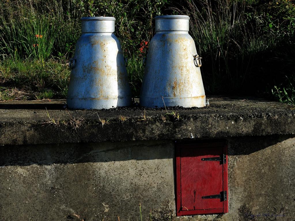 X 0080 Irland 2011 Churns