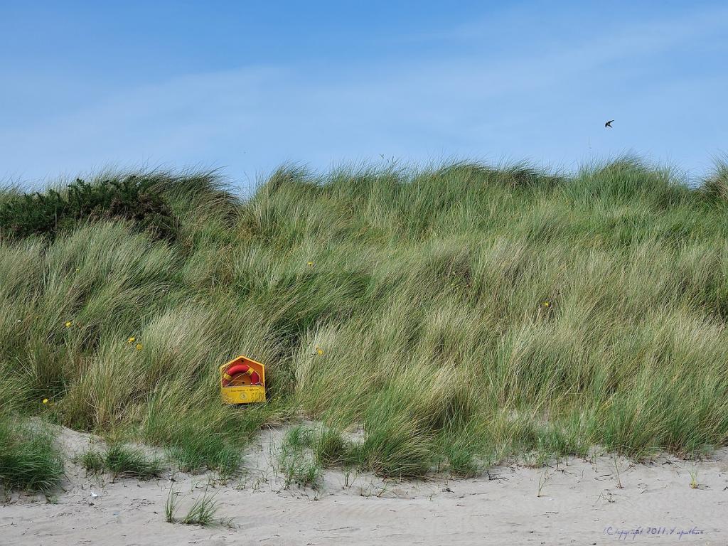 X 0108 Irland 2011 dune