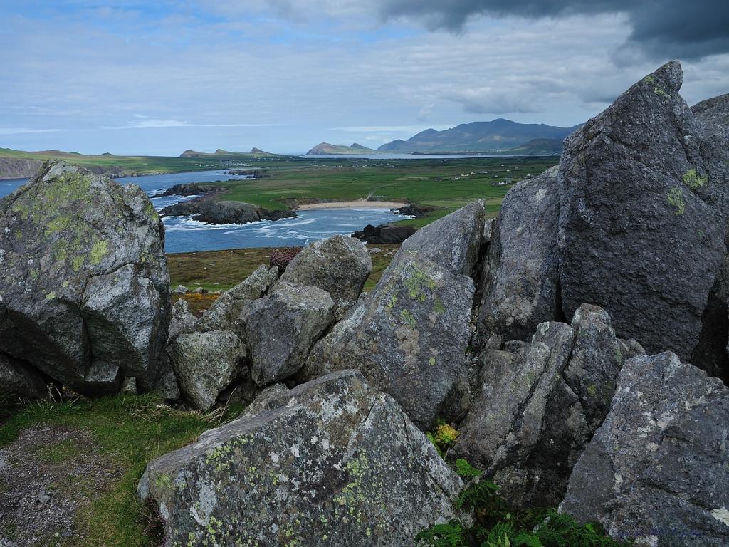 X 0114 Irland 2011 outlook