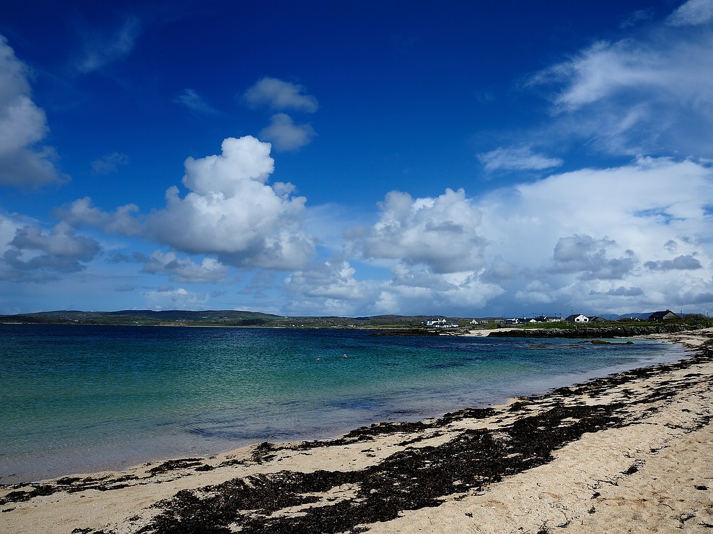 X 0148 Irland 2011 Connemary beach