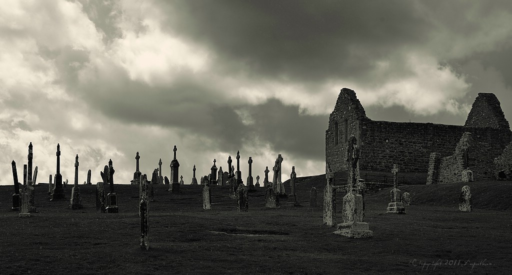 X 0174 Irland 2011 Clonmacnoise old graveyard bws