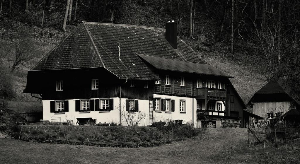 X Schwarzwaldhof bws