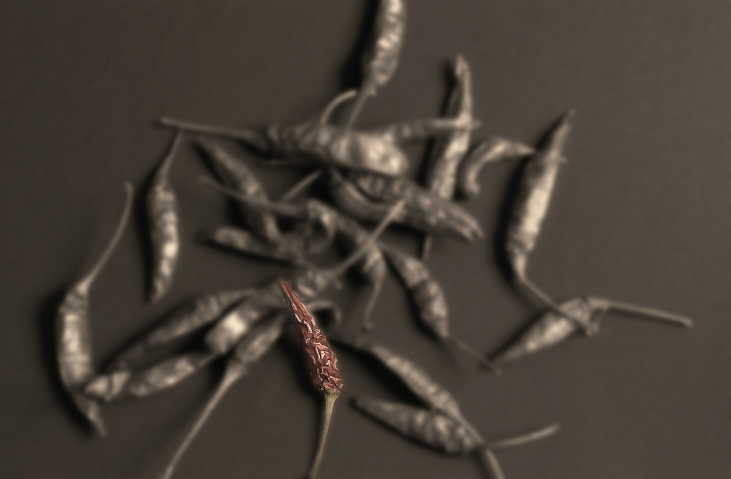 xDSC 0260cc